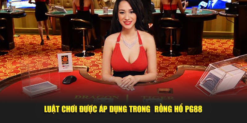 Luật chơi được áp dụng trong rồng hổ PG88